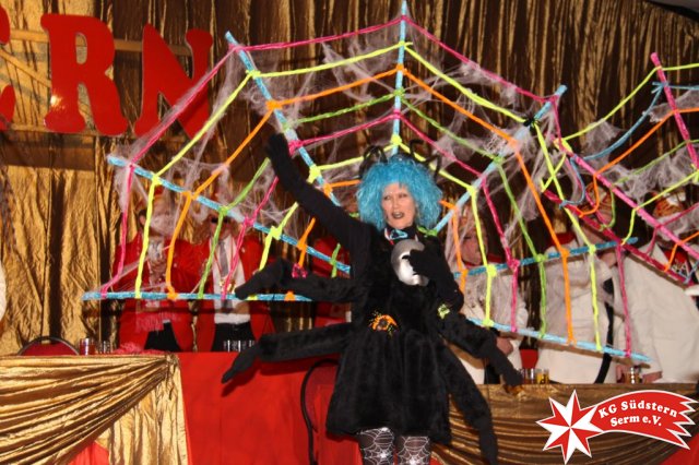 27.02.2017 - Sermer Maskenball