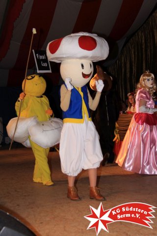 12.02.2018 - Sermer Maskenball