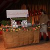 12.02.2018 - Sermer Maskenball