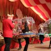 04.03.2019 - Maskenball