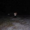 01.02.2020 - Sermer Prinzenkürung