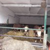 22.02.2020 - Bei Familie Greilich