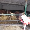 22.02.2020 - Bei Familie Greilich
