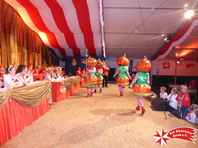 24.02.2020 - Sermer Maskenball